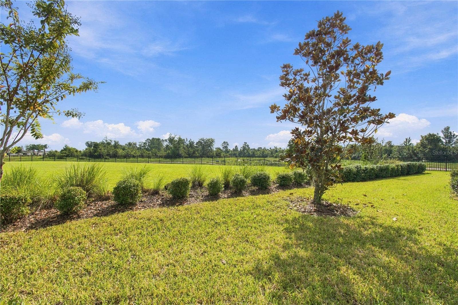 31564 WOODLAND RACE LOOP, Wesley Chapel, FL 33545 31564 WOODLAND RACE LOOP, Wesley Chapel, FL 33545