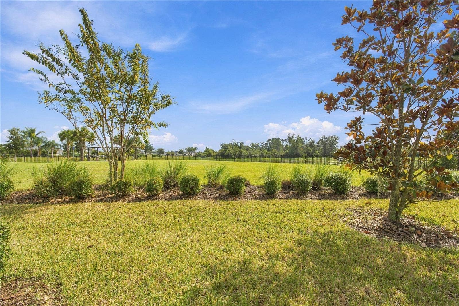 31564 WOODLAND RACE LOOP, Wesley Chapel, FL 33545 31564 WOODLAND RACE LOOP, Wesley Chapel, FL 33545