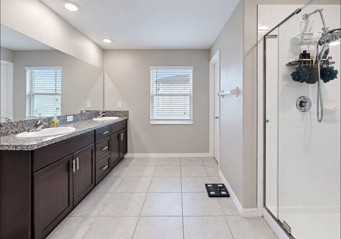11911 FIELD THISTLE COURT, Riverview, FL 33579 Primary Bath