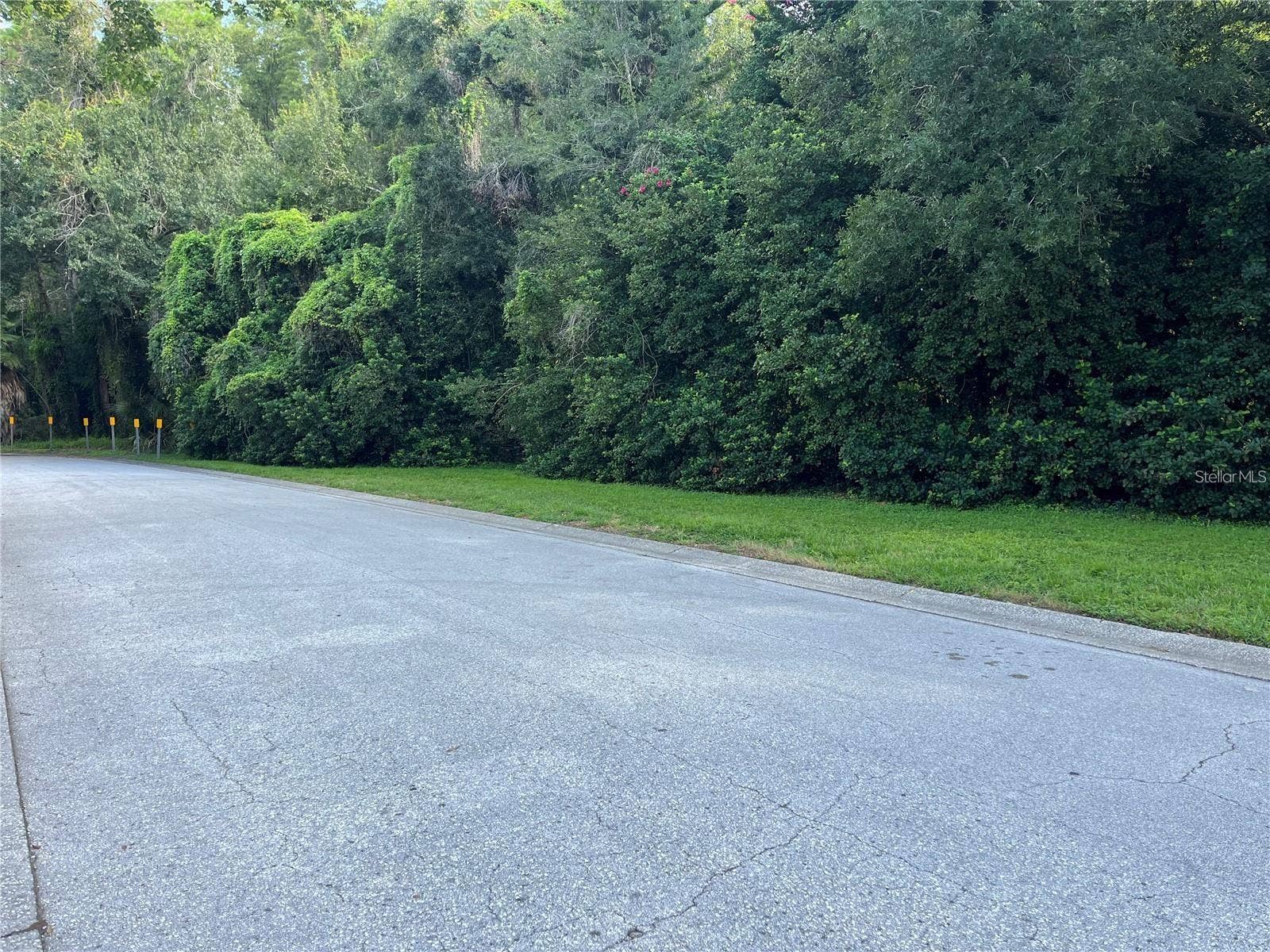 4114 WOODLARK DRIVE, Tampa, FL 33624 4114 WOODLARK DRIVE, Tampa, FL 33624