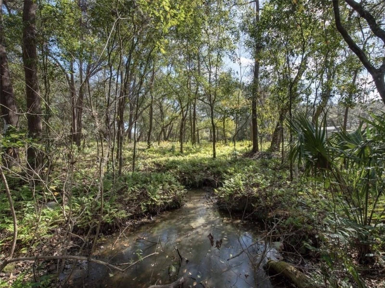 6513 S COUNTY LINE ROAD, Plant City, FL 33567