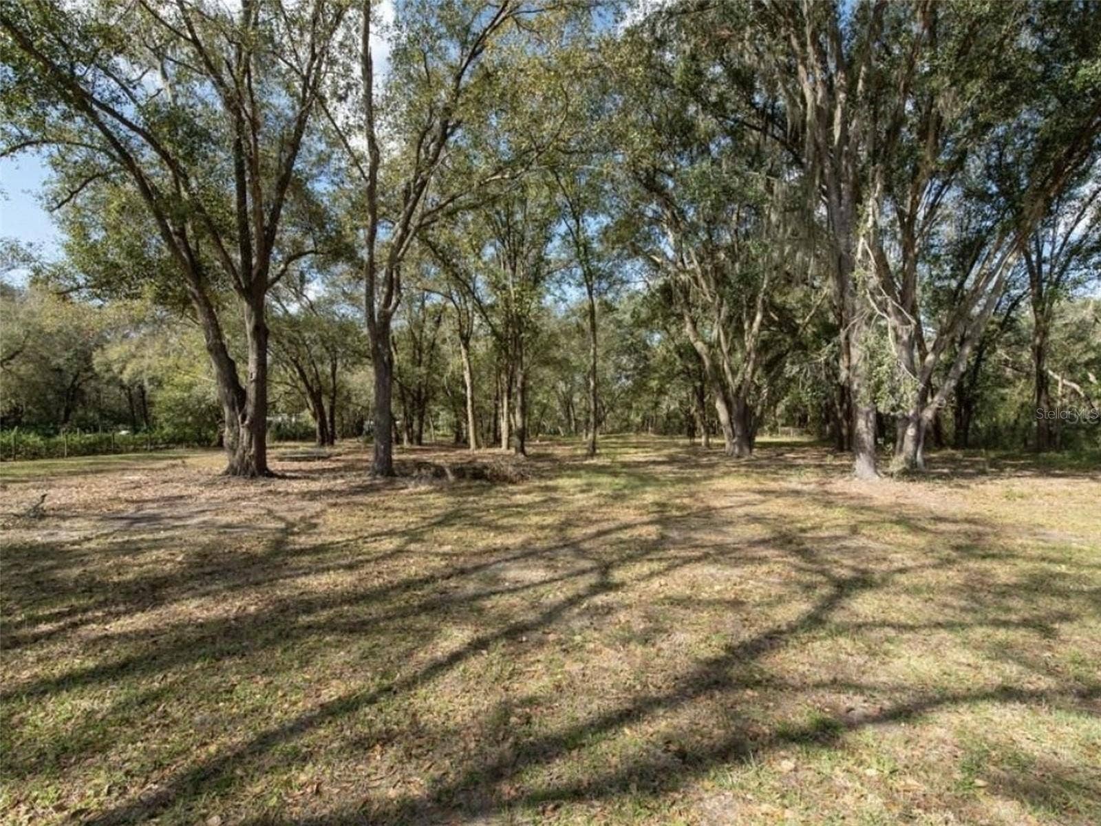 6513 S COUNTY LINE ROAD, Plant City, FL 33567