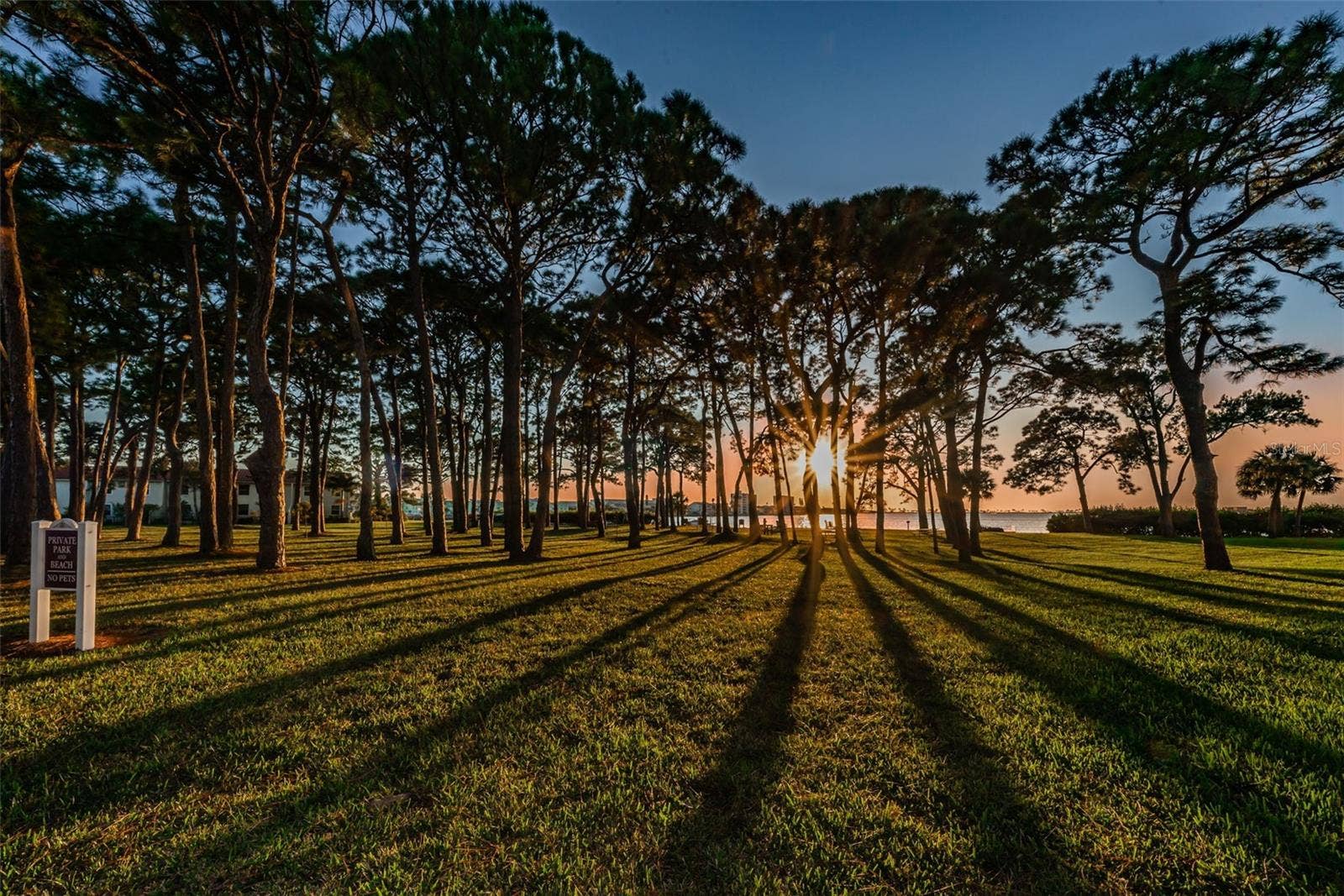 2700 BAYSHORE BOULEVARD, #525, Dunedin, FL 34698 2700 BAYSHORE BOULEVARD, #525, Dunedin, FL 34698