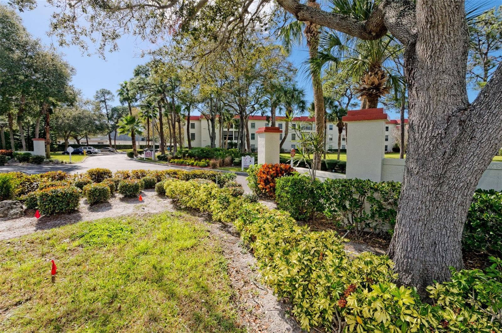 2700 BAYSHORE BOULEVARD, #525, Dunedin, FL 34698 2700 BAYSHORE BOULEVARD, #525, Dunedin, FL 34698