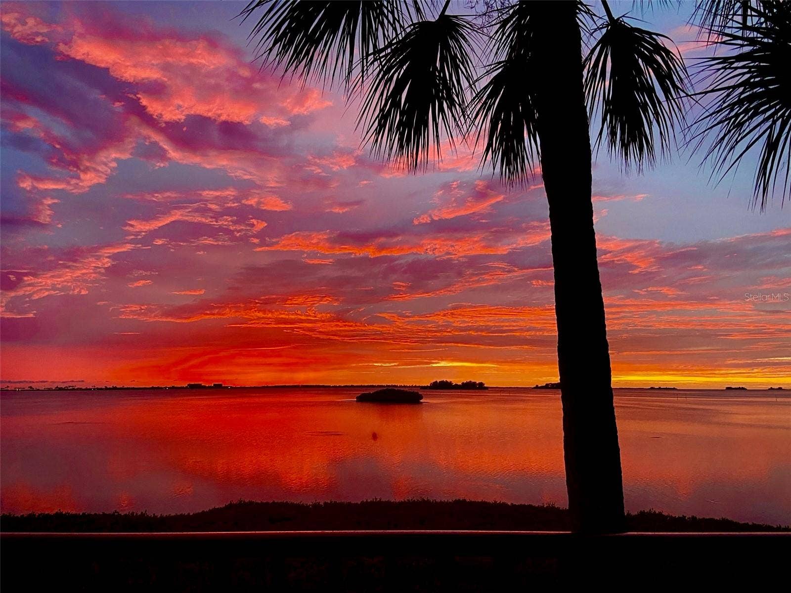 2700 BAYSHORE BOULEVARD, #11-105, Dunedin, FL 34698 2700 BAYSHORE BOULEVARD, #11-105, Dunedin, FL 34698