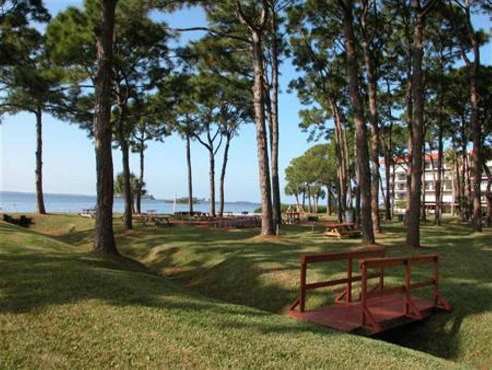 2700 BAYSHORE BOULEVARD, #11-105, Dunedin, FL 34698 2700 BAYSHORE BOULEVARD, #11-105, Dunedin, FL 34698