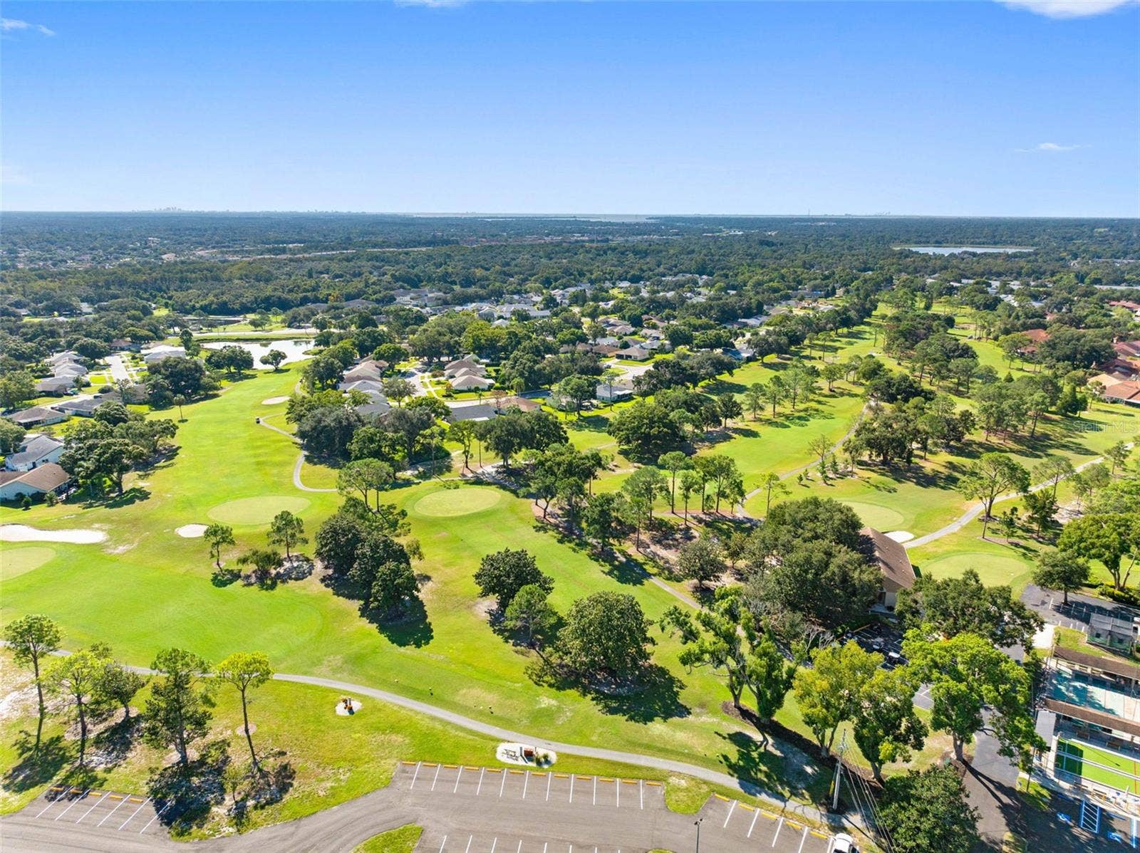 1681 MACDONNELL COURT, Palm Harbor, FL 34684 1681 MACDONNELL COURT, Palm Harbor, FL 34684