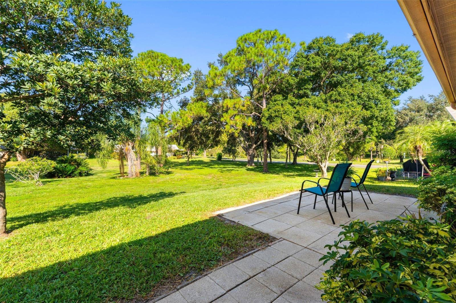 1681 MACDONNELL COURT, Palm Harbor, FL 34684 1681 MACDONNELL COURT, Palm Harbor, FL 34684