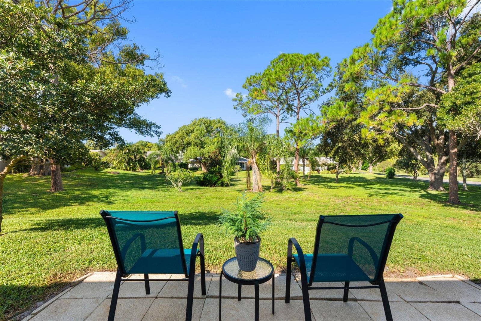 1681 MACDONNELL COURT, Palm Harbor, FL 34684 1681 MACDONNELL COURT, Palm Harbor, FL 34684