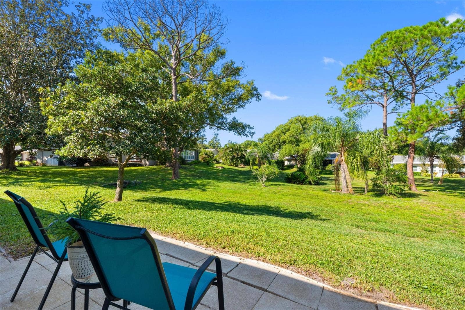 1681 MACDONNELL COURT, Palm Harbor, FL 34684 1681 MACDONNELL COURT, Palm Harbor, FL 34684
