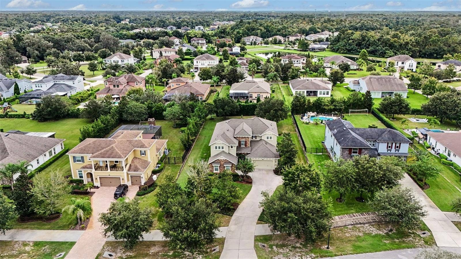 17815 DAISY FARM DRIVE, Lutz, FL 33559 17815 DAISY FARM DRIVE, Lutz, FL 33559