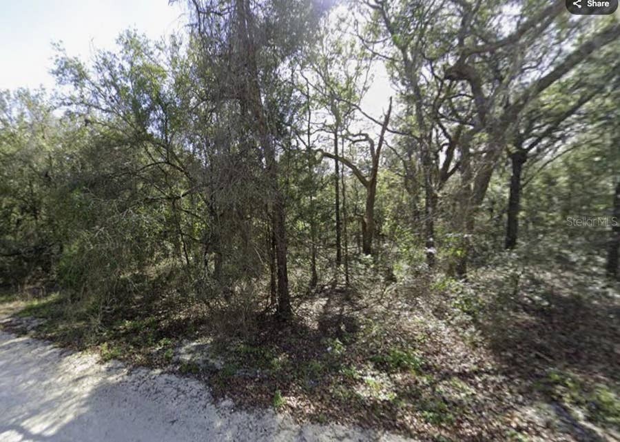 Property photo for 34086 ARROWROCK STREET, Webster, FL
