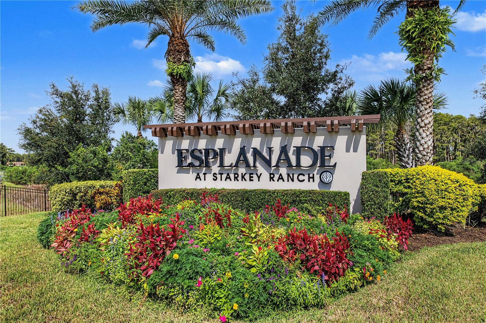11435 CALLISIA DRIVE, Odessa, FL 33556 11435 CALLISIA DRIVE, Odessa, FL 33556