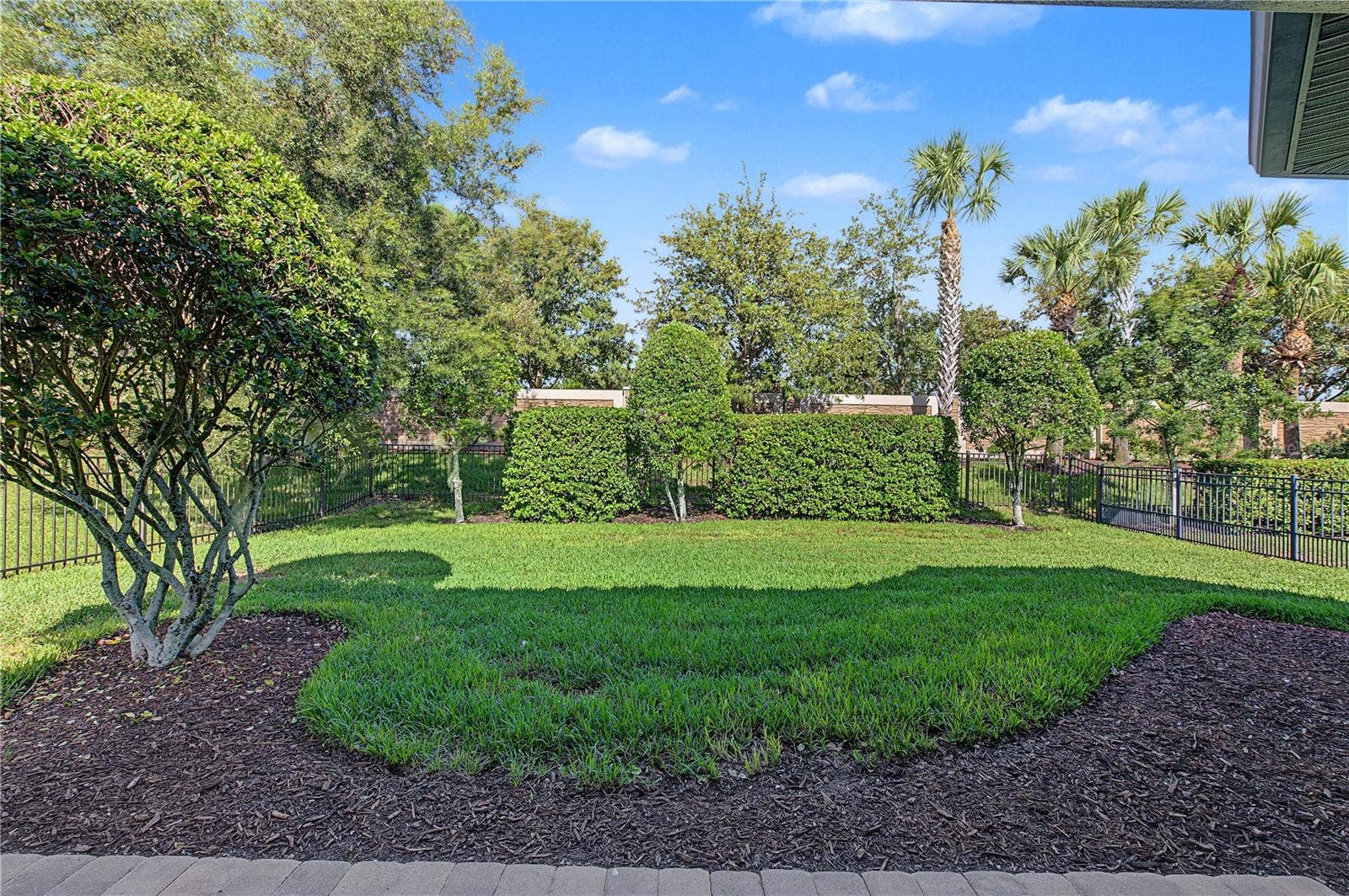 11435 CALLISIA DRIVE, Odessa, FL 33556 11435 CALLISIA DRIVE, Odessa, FL 33556