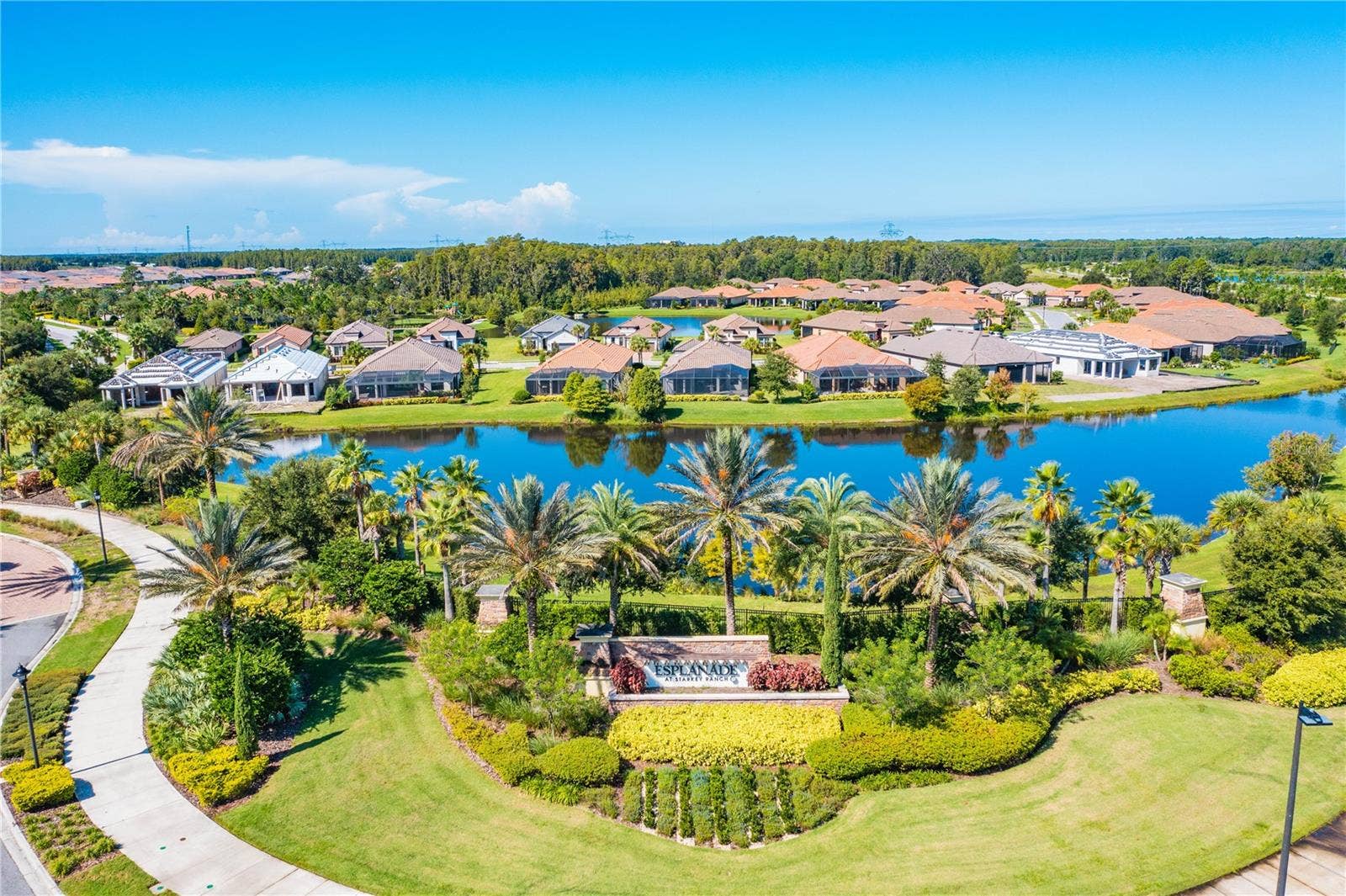 11435 CALLISIA DRIVE, Odessa, FL 33556 11435 CALLISIA DRIVE, Odessa, FL 33556