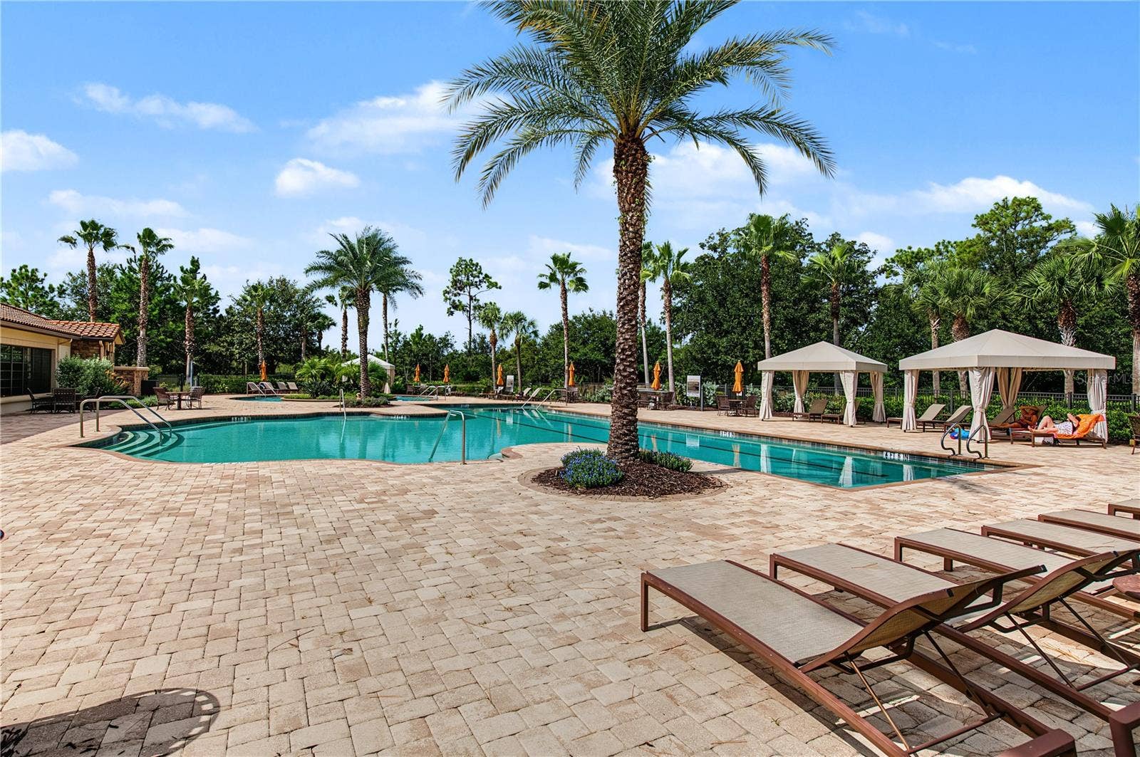 11435 CALLISIA DRIVE, Odessa, FL 33556 11435 CALLISIA DRIVE, Odessa, FL 33556