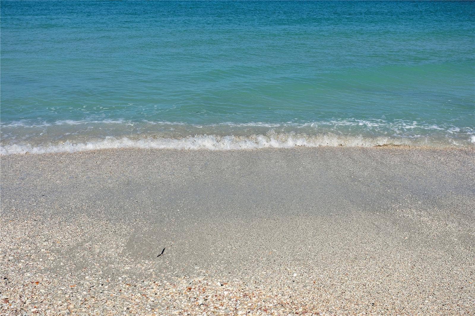 Only a short walk or bike ride to the beach!