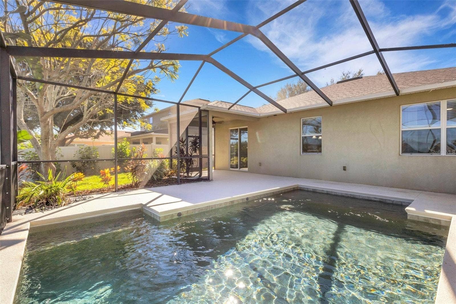 Pool & Pool Cage