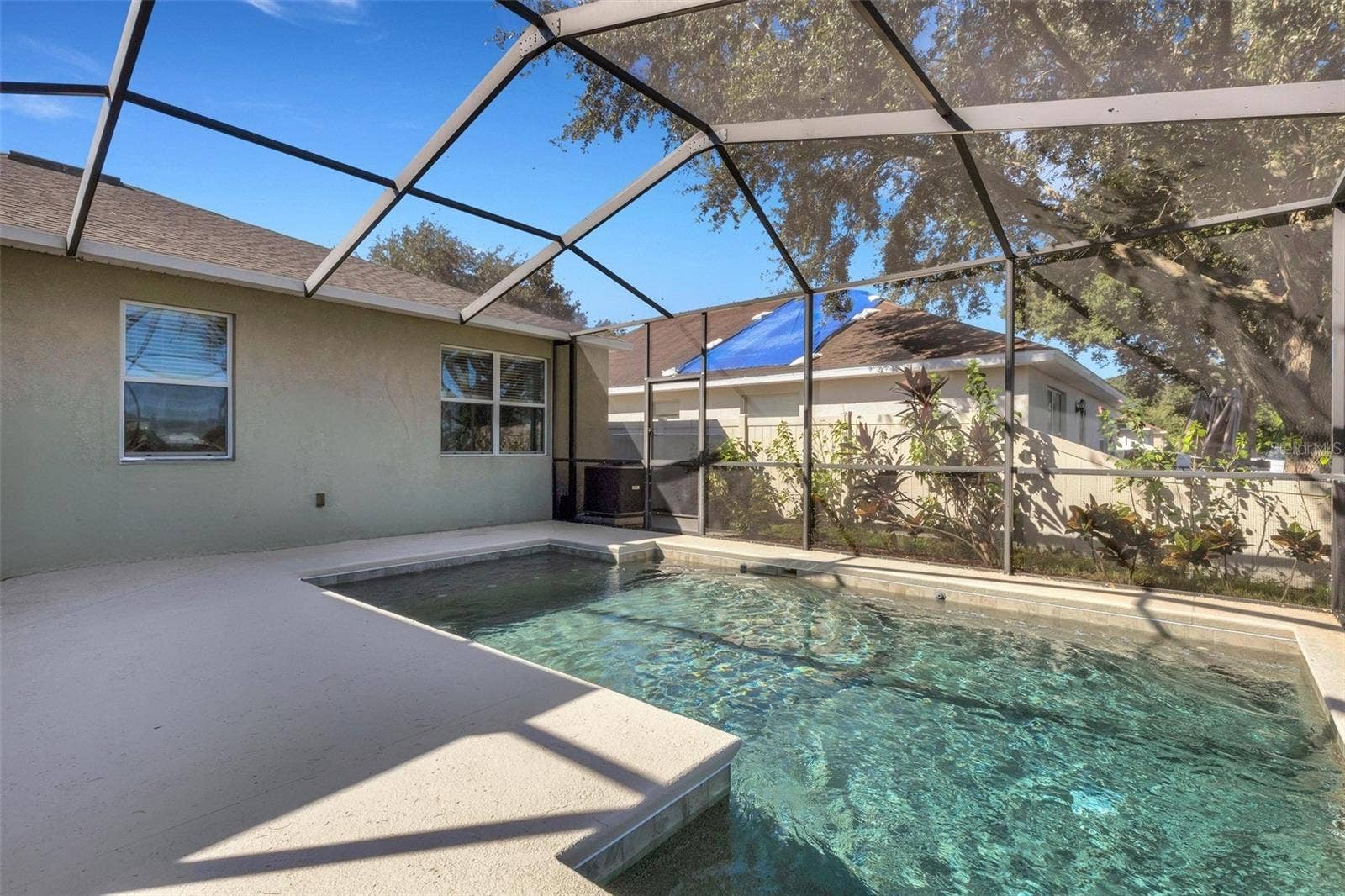 Pool & Pool Cage
