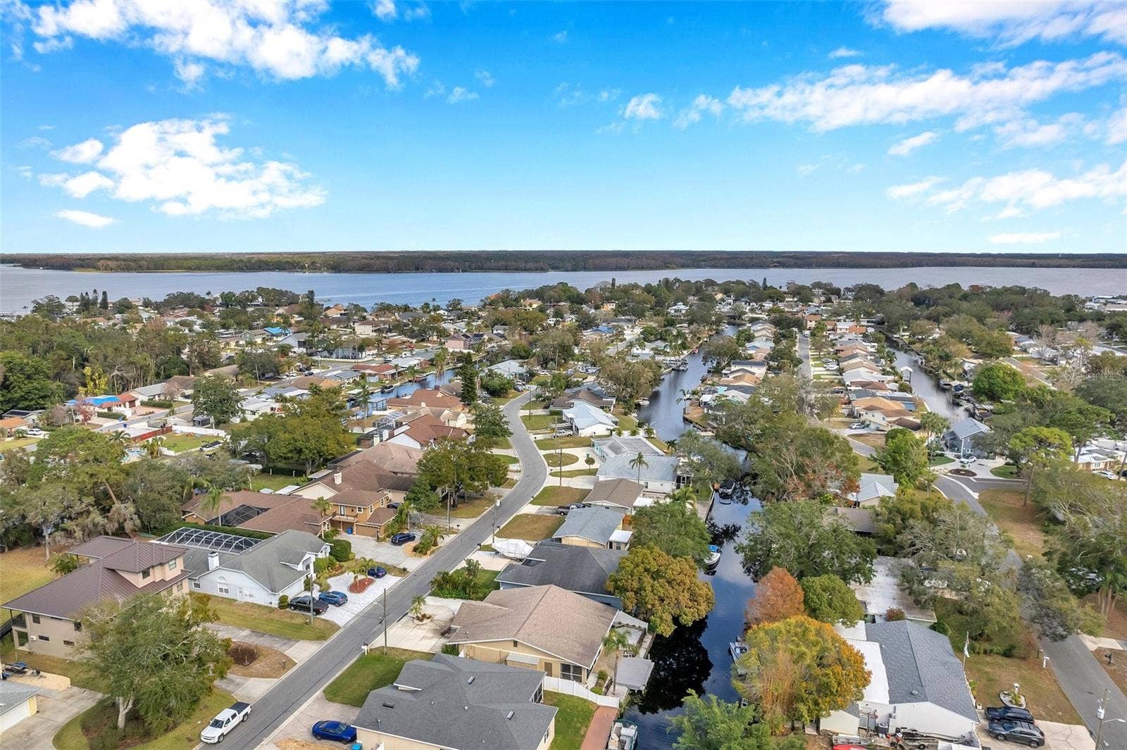 8 CITRUS DRIVE, Palm Harbor, FL 34684 8 CITRUS DRIVE, Palm Harbor, FL 34684