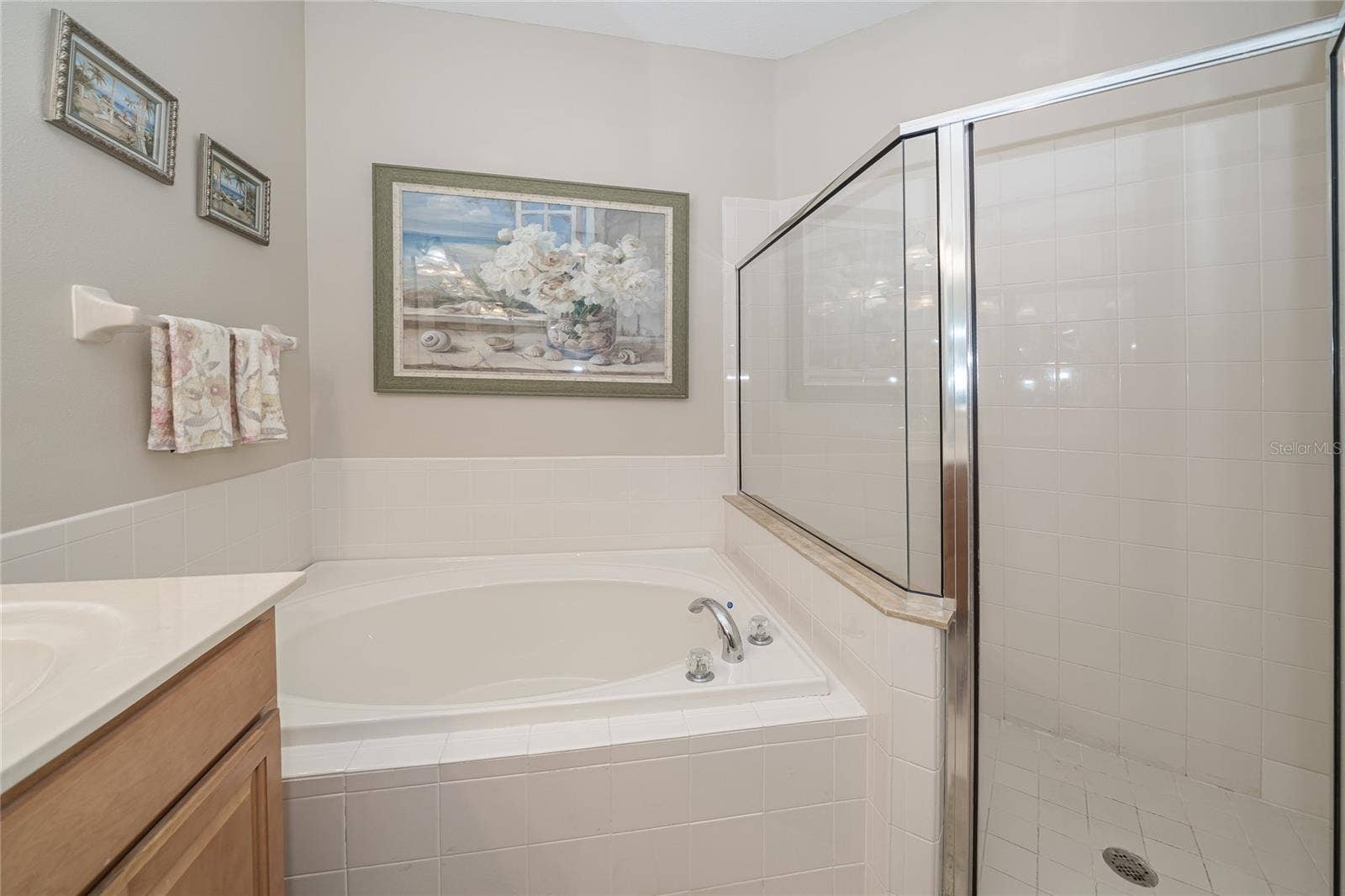 3428 CHAPEL CREEK CIRCLE, Wesley Chapel, FL 33544 3428 CHAPEL CREEK CIRCLE, Wesley Chapel, FL 33544