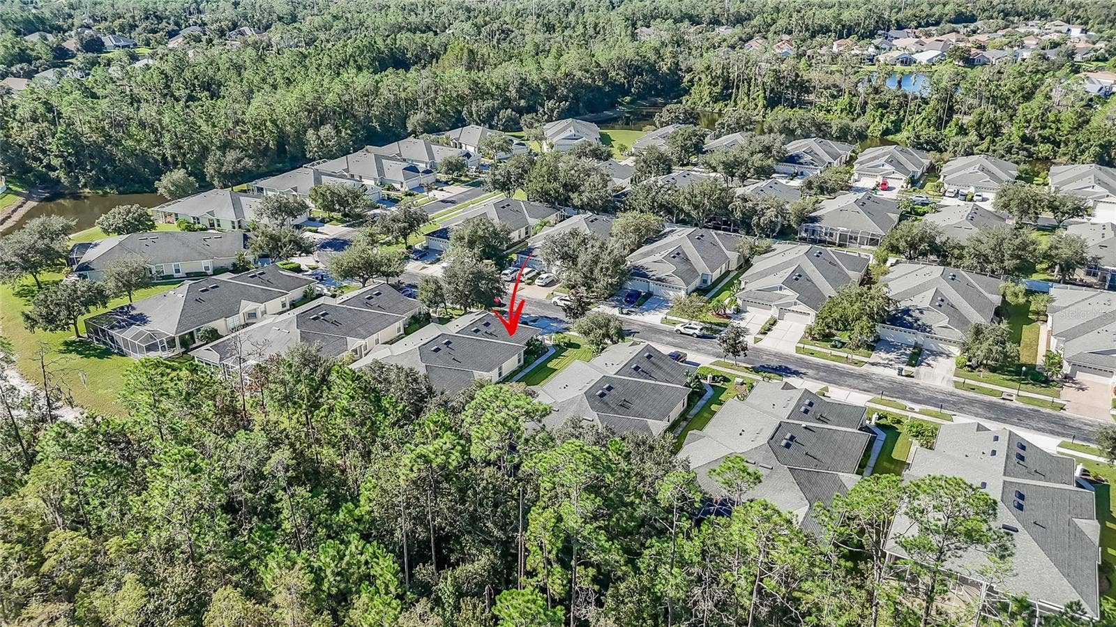 3428 CHAPEL CREEK CIRCLE, Wesley Chapel, FL 33544 3428 CHAPEL CREEK CIRCLE, Wesley Chapel, FL 33544