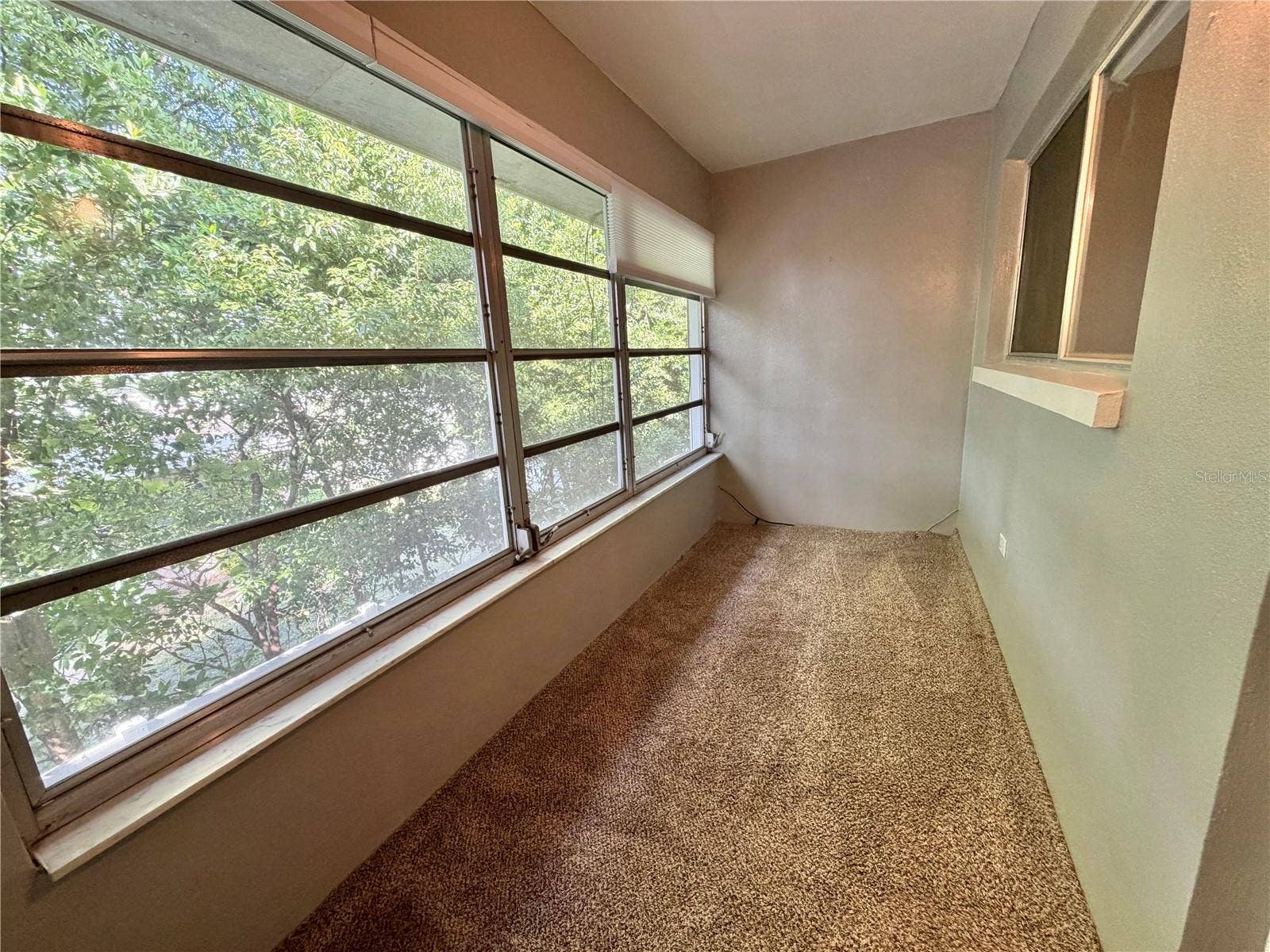 2344 SHELLEY STREET, #12, Clearwater, FL 33765 Florida Room