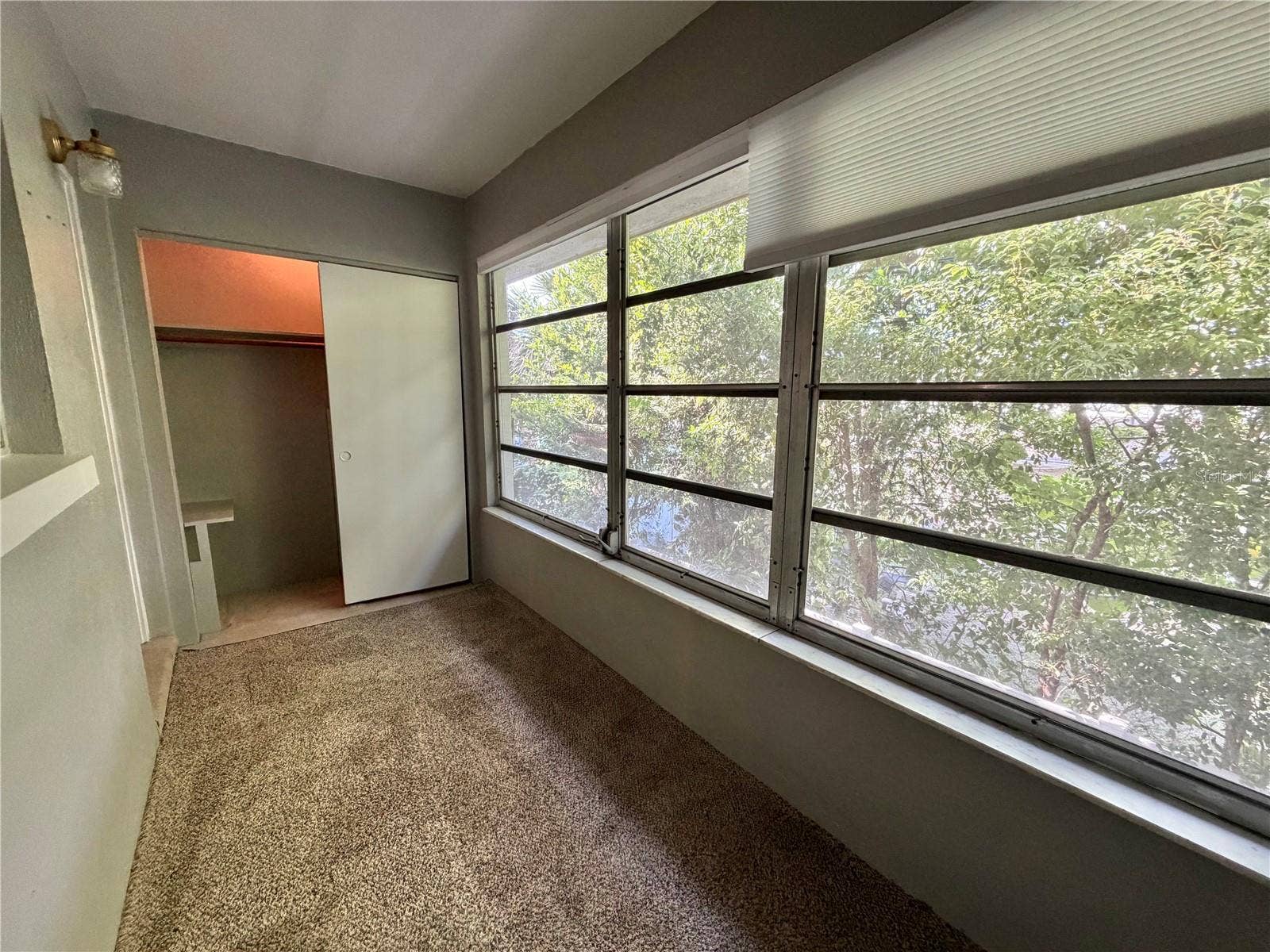 2344 SHELLEY STREET, #12, Clearwater, FL 33765 Florida Room