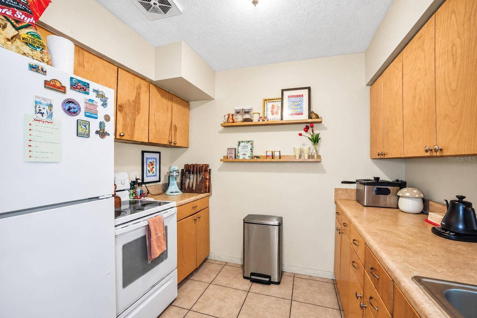 173 38TH AVENUE SE, St Petersburg, FL 33705 Unit 1 - Kitchen