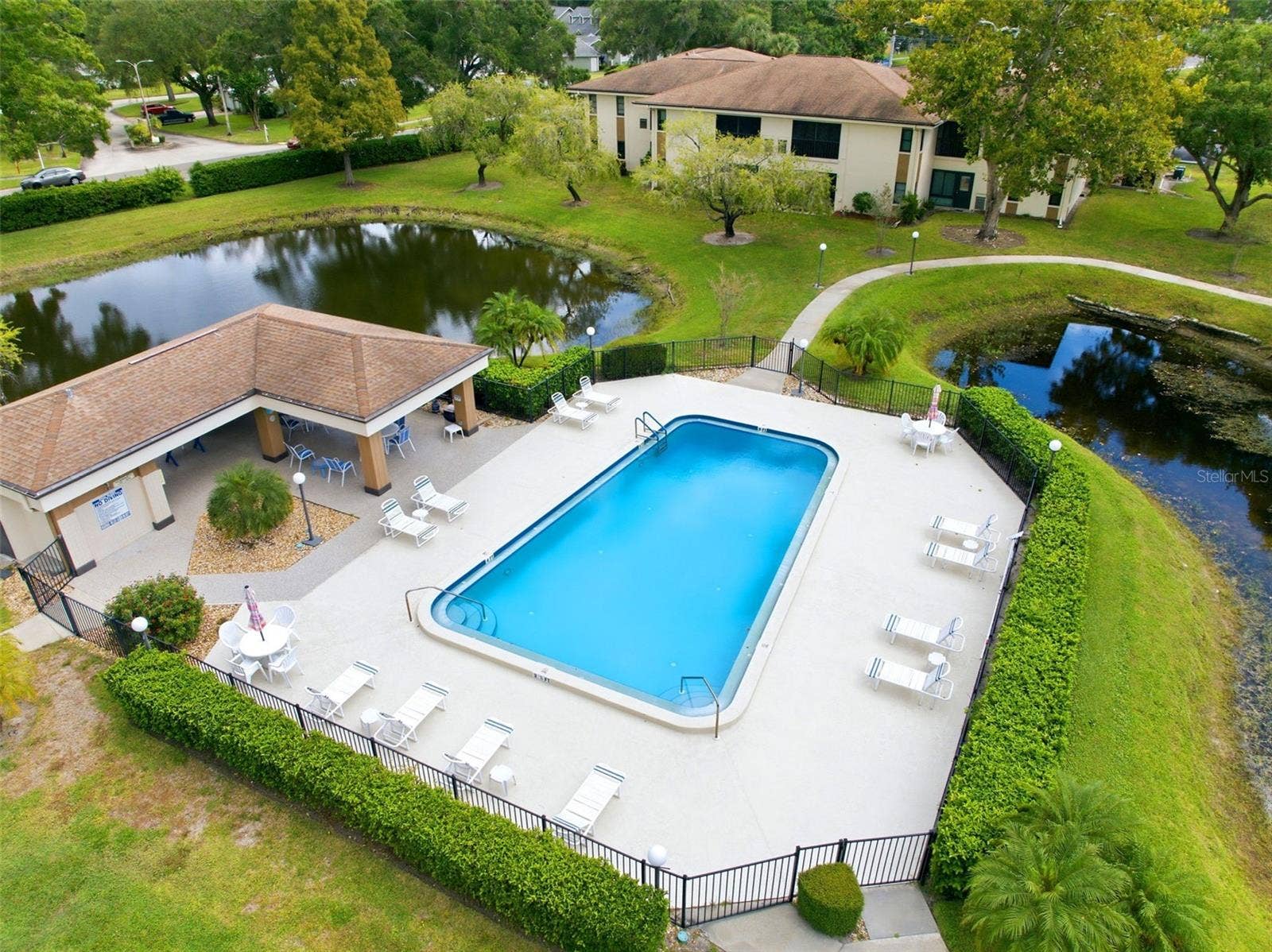 2700 NEBRASKA AVENUE, #2-203, Palm Harbor, FL 34684 2700 NEBRASKA AVENUE, #2-203, Palm Harbor, FL 34684