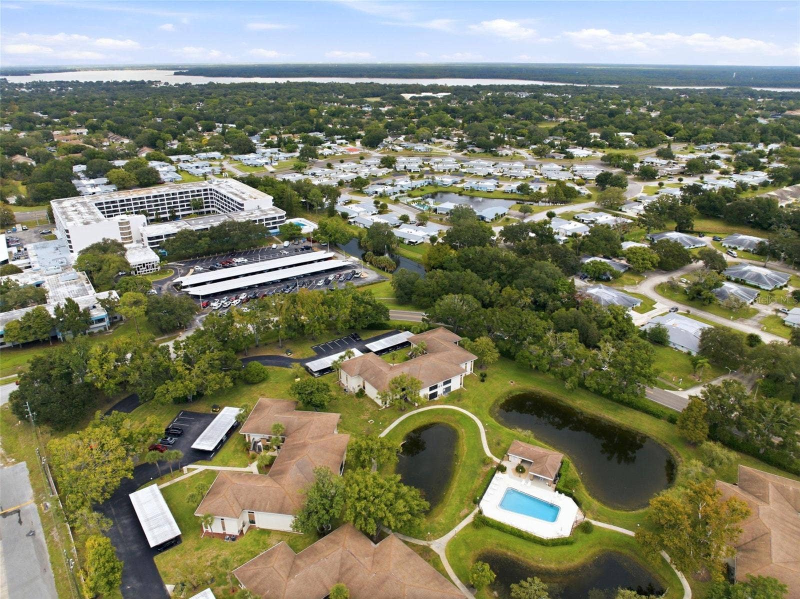 2700 NEBRASKA AVENUE, #2-203, Palm Harbor, FL 34684 2700 NEBRASKA AVENUE, #2-203, Palm Harbor, FL 34684