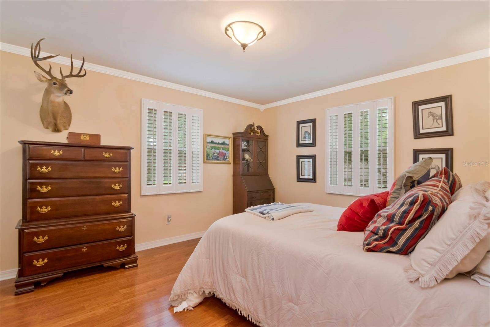 1231 S ROXMERE ROAD, Tampa, FL 33629 1231 S ROXMERE ROAD, Tampa, FL 33629