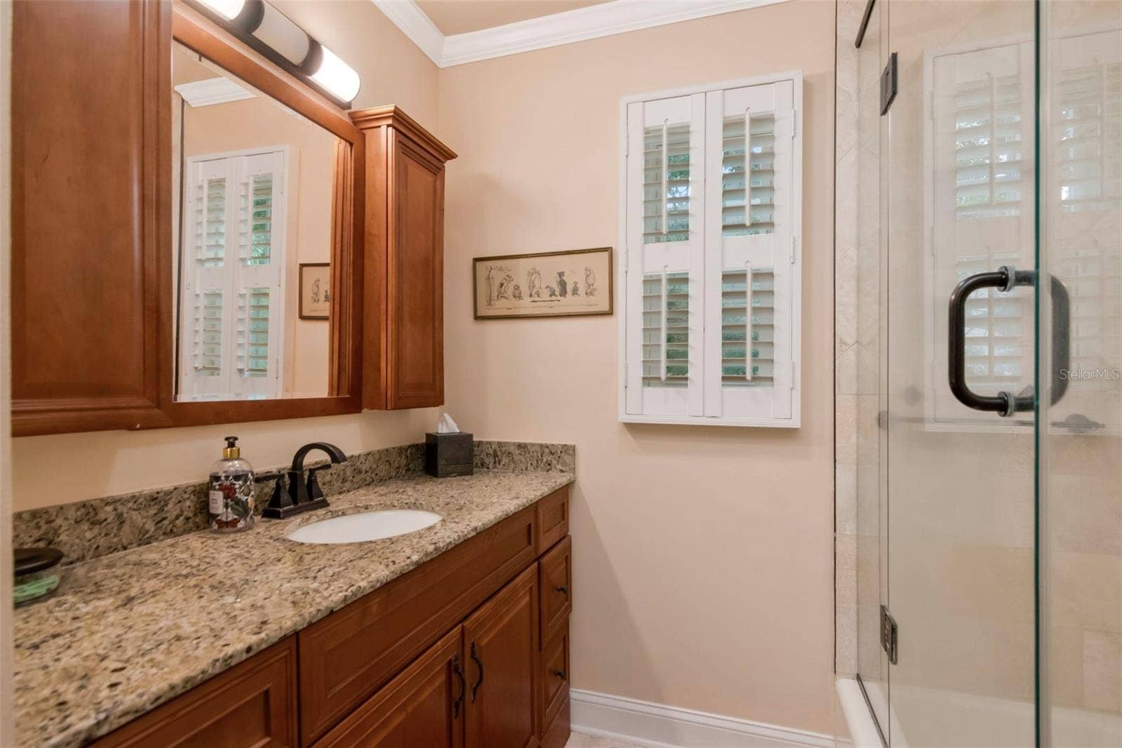 1231 S ROXMERE ROAD, Tampa, FL 33629 1231 S ROXMERE ROAD, Tampa, FL 33629