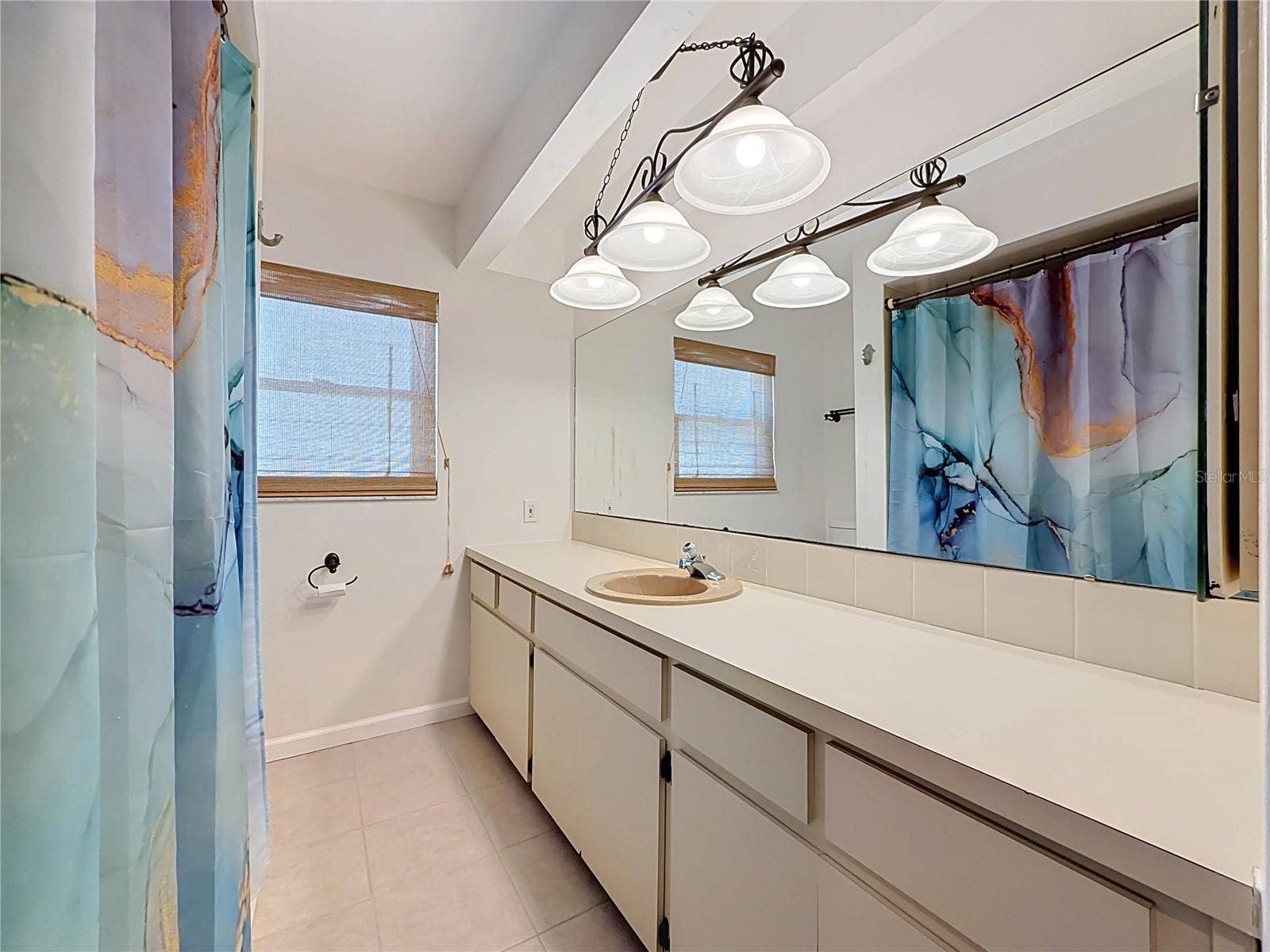 3314 ENTERPRISE ROAD E, Safety Harbor, FL 34695 Guest Bath