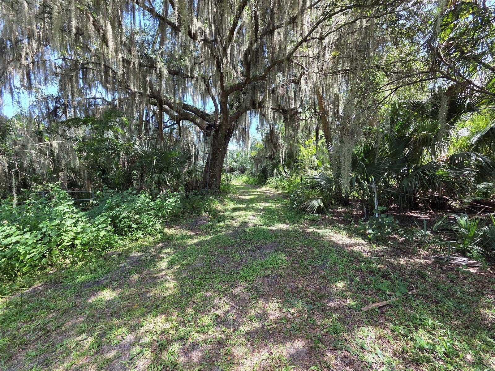 5950 S SANFORD AVE, Sanford, FL 32773 5950 S SANFORD AVE, Sanford, FL 32773