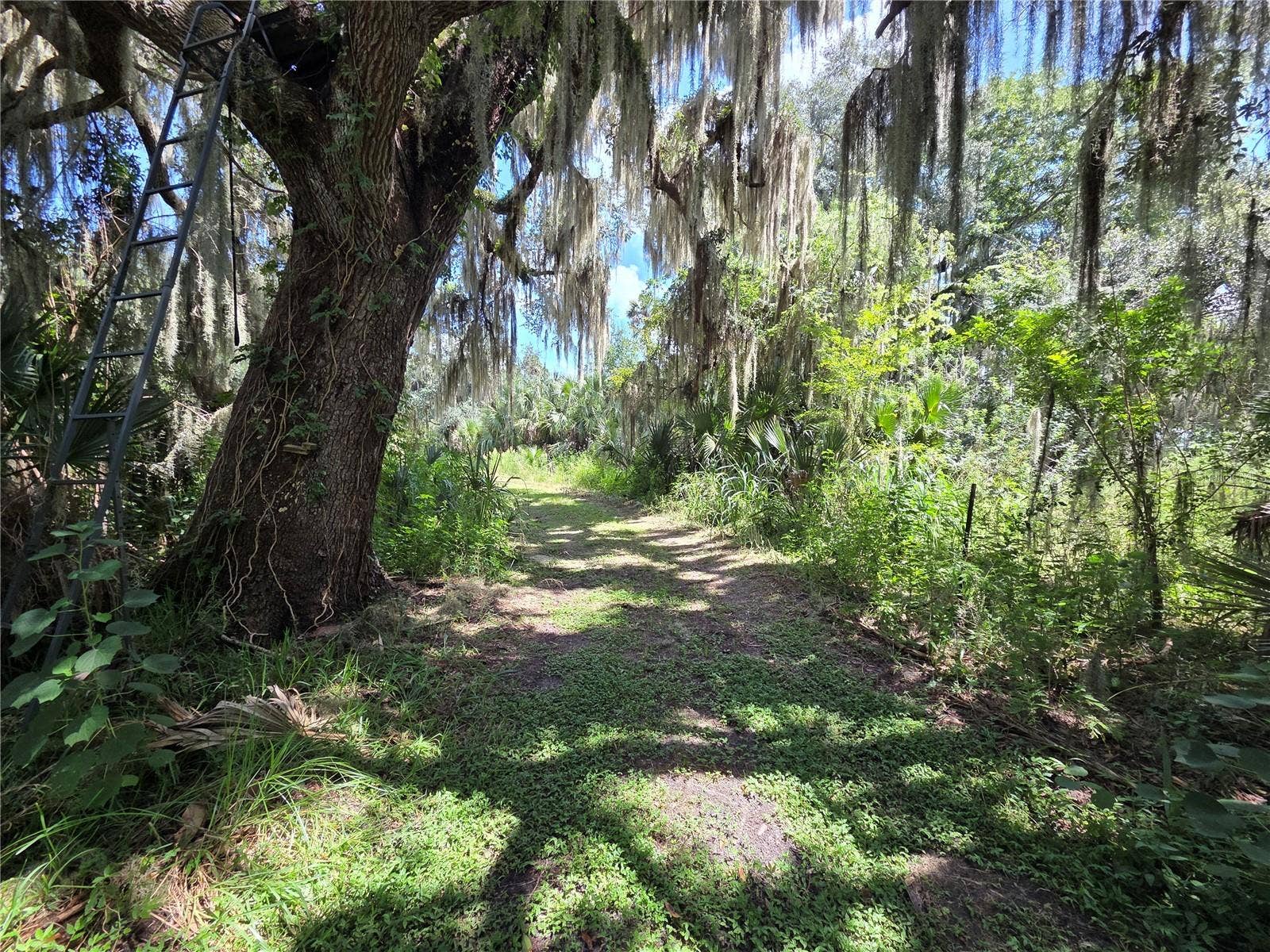 5950 S SANFORD AVE, Sanford, FL 32773 5950 S SANFORD AVE, Sanford, FL 32773