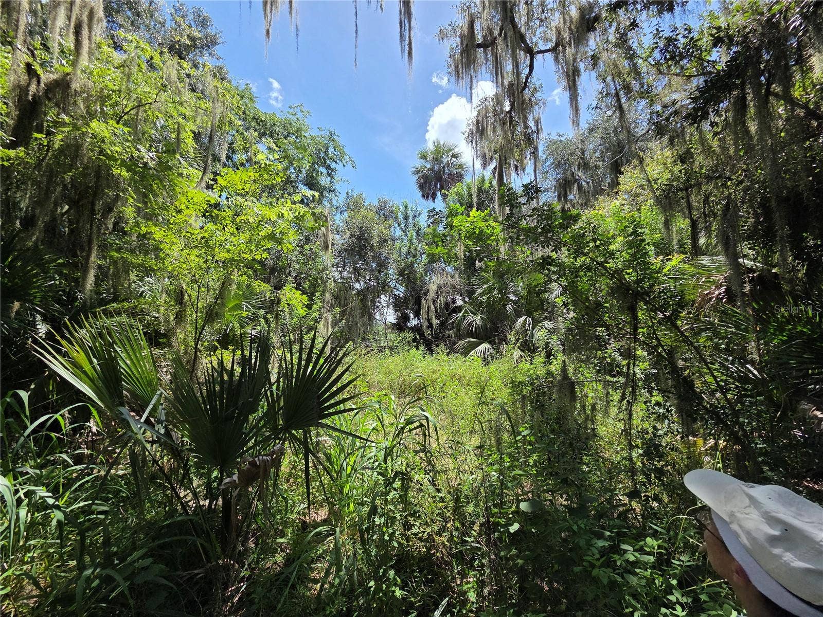 5950 S SANFORD AVE, Sanford, FL 32773 5950 S SANFORD AVE, Sanford, FL 32773