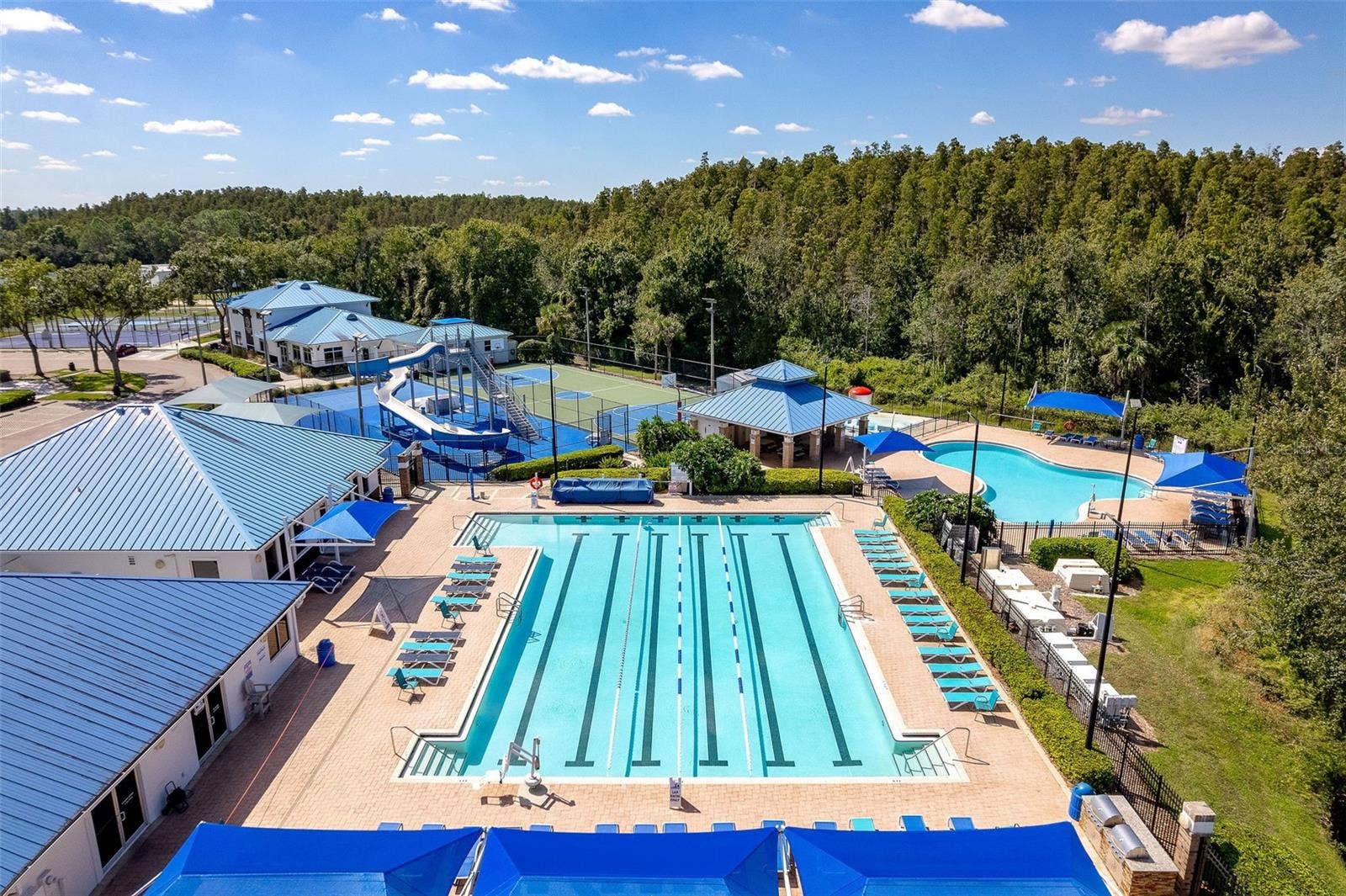 29002 OLD MARSH, Wesley Chapel, FL 33543 COMMUNITY POOL