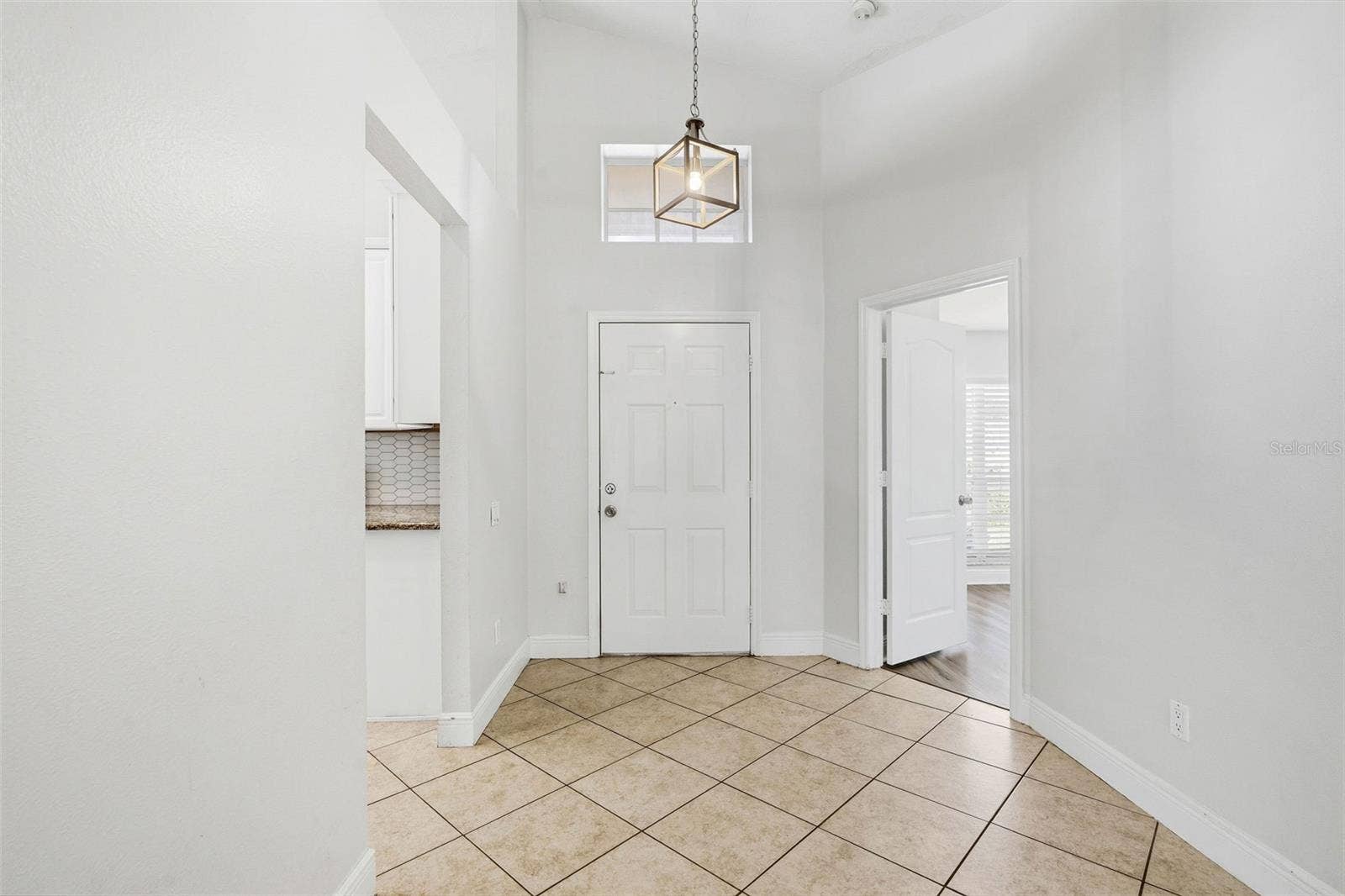 29002 OLD MARSH, Wesley Chapel, FL 33543 FRONT DOOR ENTRY