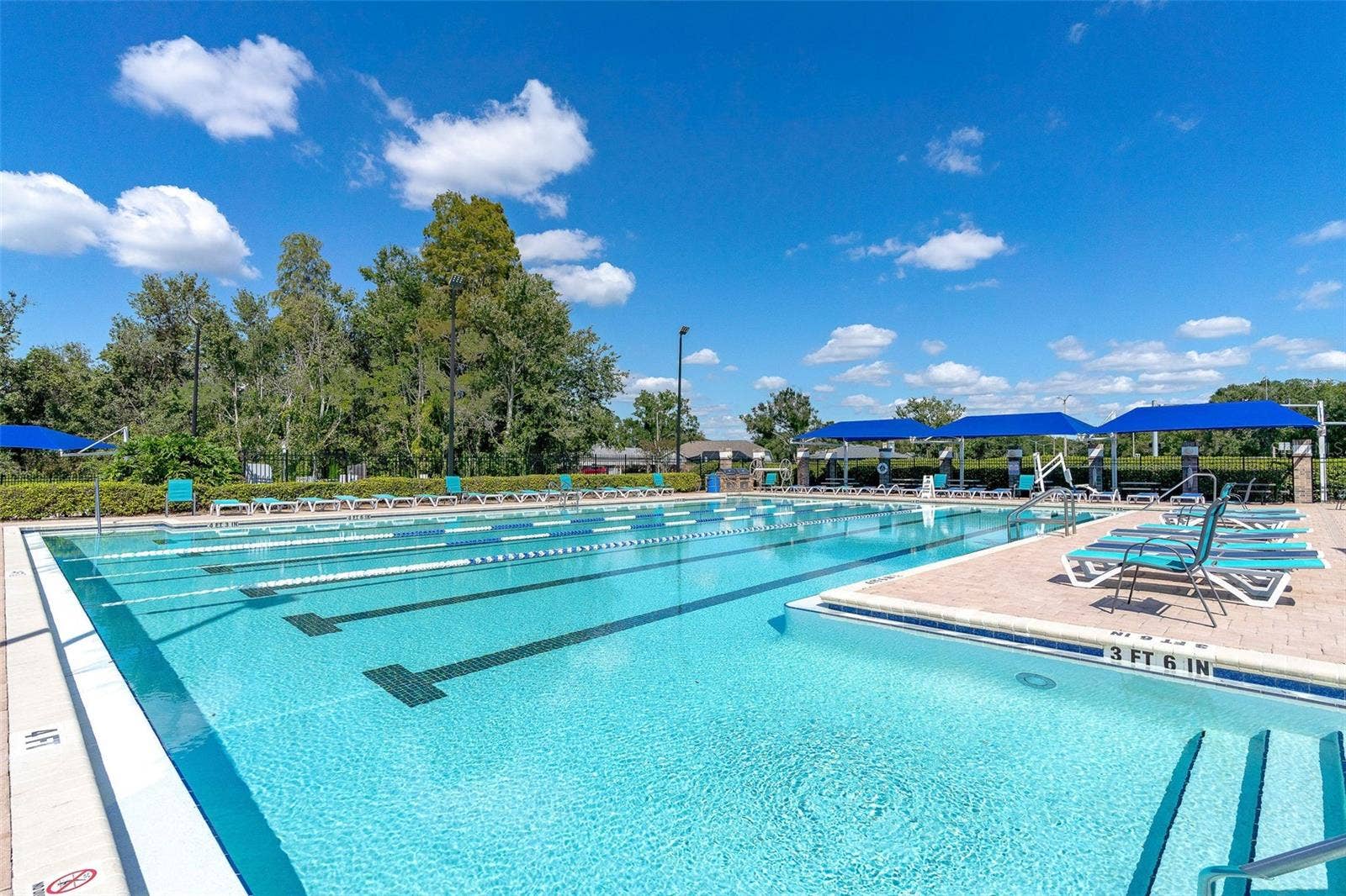 29002 OLD MARSH, Wesley Chapel, FL 33543 COMMUNITY POOL