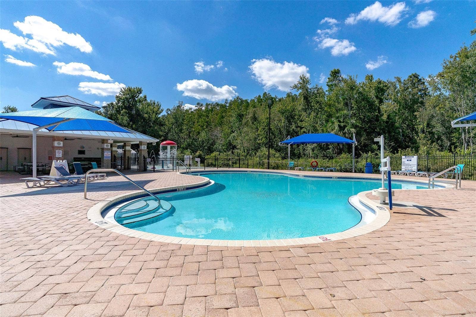 29002 OLD MARSH, Wesley Chapel, FL 33543 COMMUNITY POOL