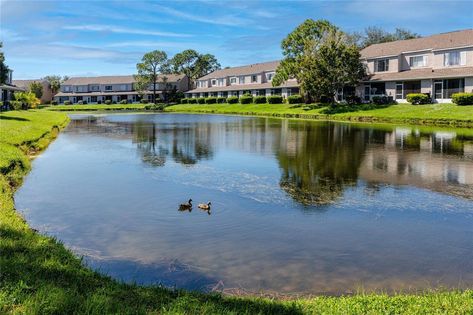6229 BAYSIDE KEY DRIVE, Tampa, FL 33615 Back Yard with Pond Views -6229 Bayside Key Dr, Tampa, FL 33615