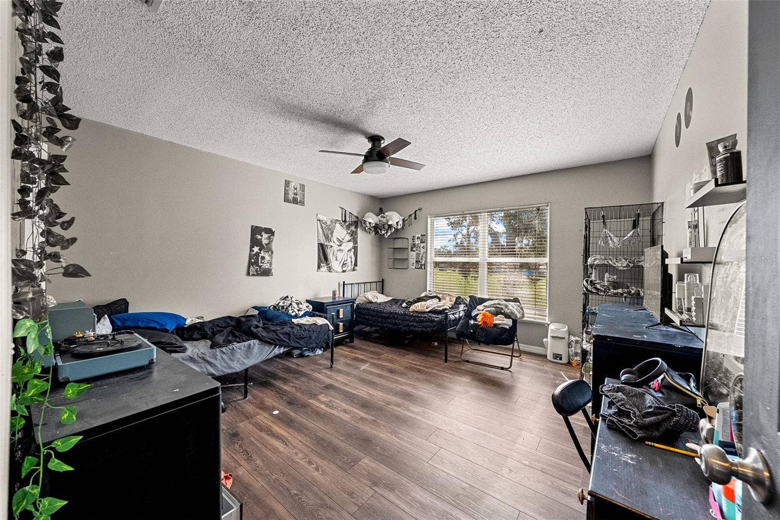 8295 BEGONIA STREET, Spring Hill, FL 34608 8295 BEGONIA STREET, Spring Hill, FL 34608
