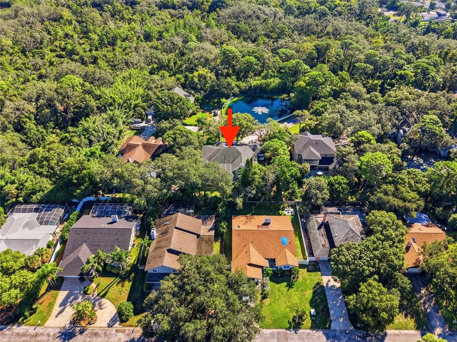1980 MAC GREGOR ROAD, Tarpon Springs, FL 34689 1980 MAC GREGOR ROAD, Tarpon Springs, FL 34689