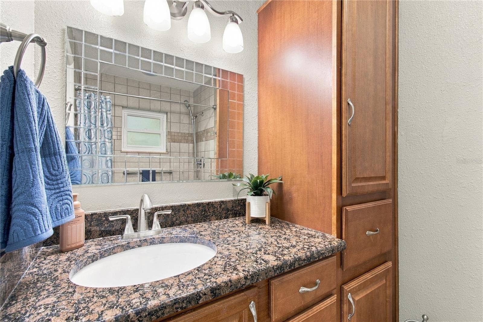 8410 ANGELA COURT, Zephyrhills, FL 33541 Master Bathroom