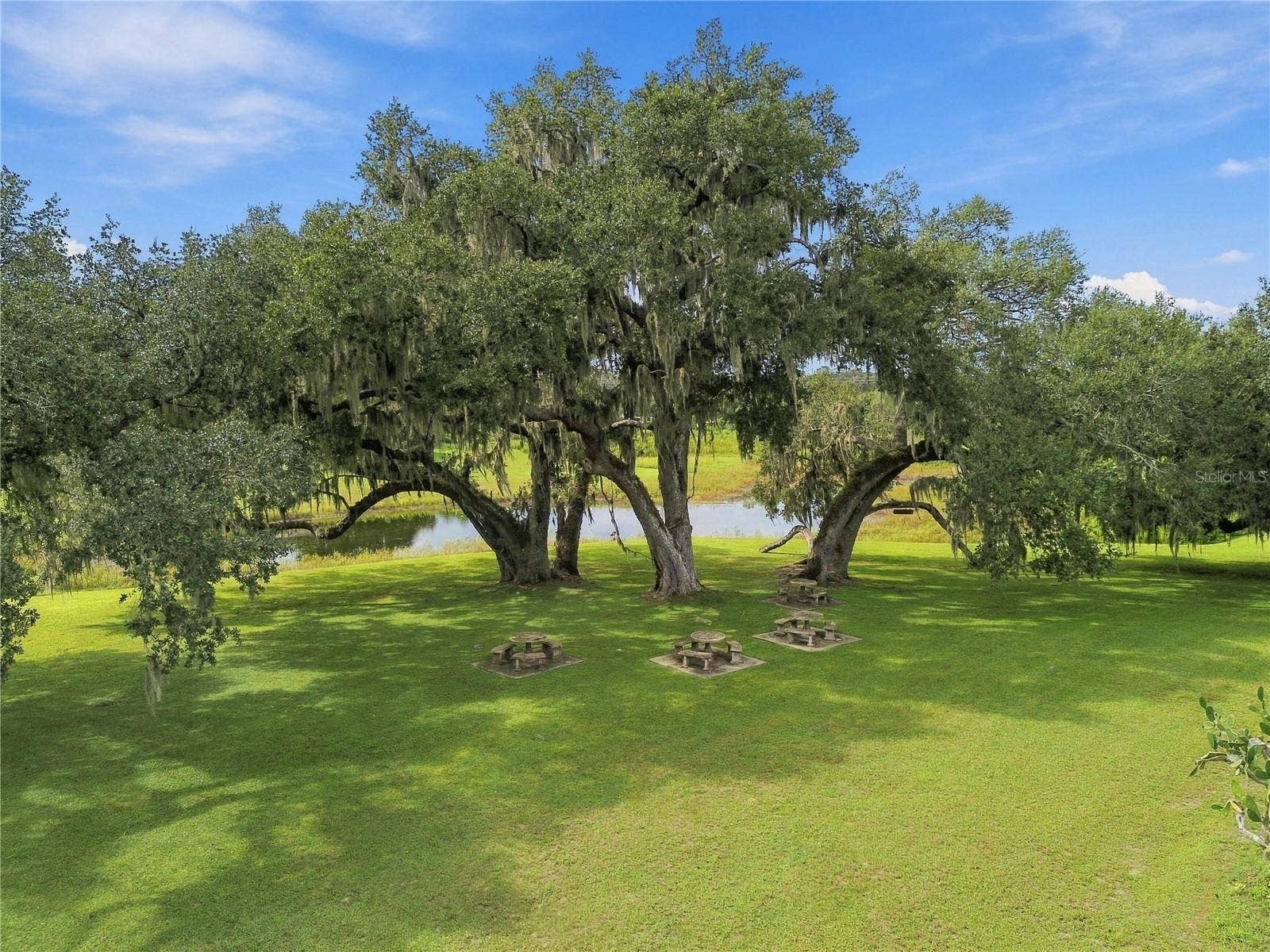 8410 ANGELA COURT, Zephyrhills, FL 33541 Scenic park common area
