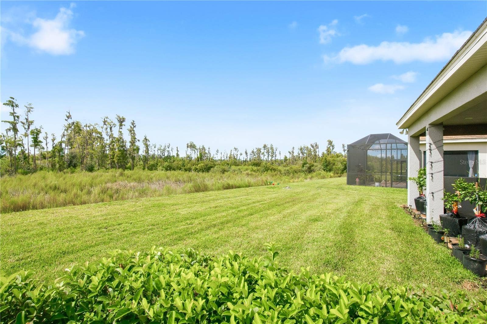 32604 TREE OF LIFE AVENUE, Wesley Chapel, FL 33543