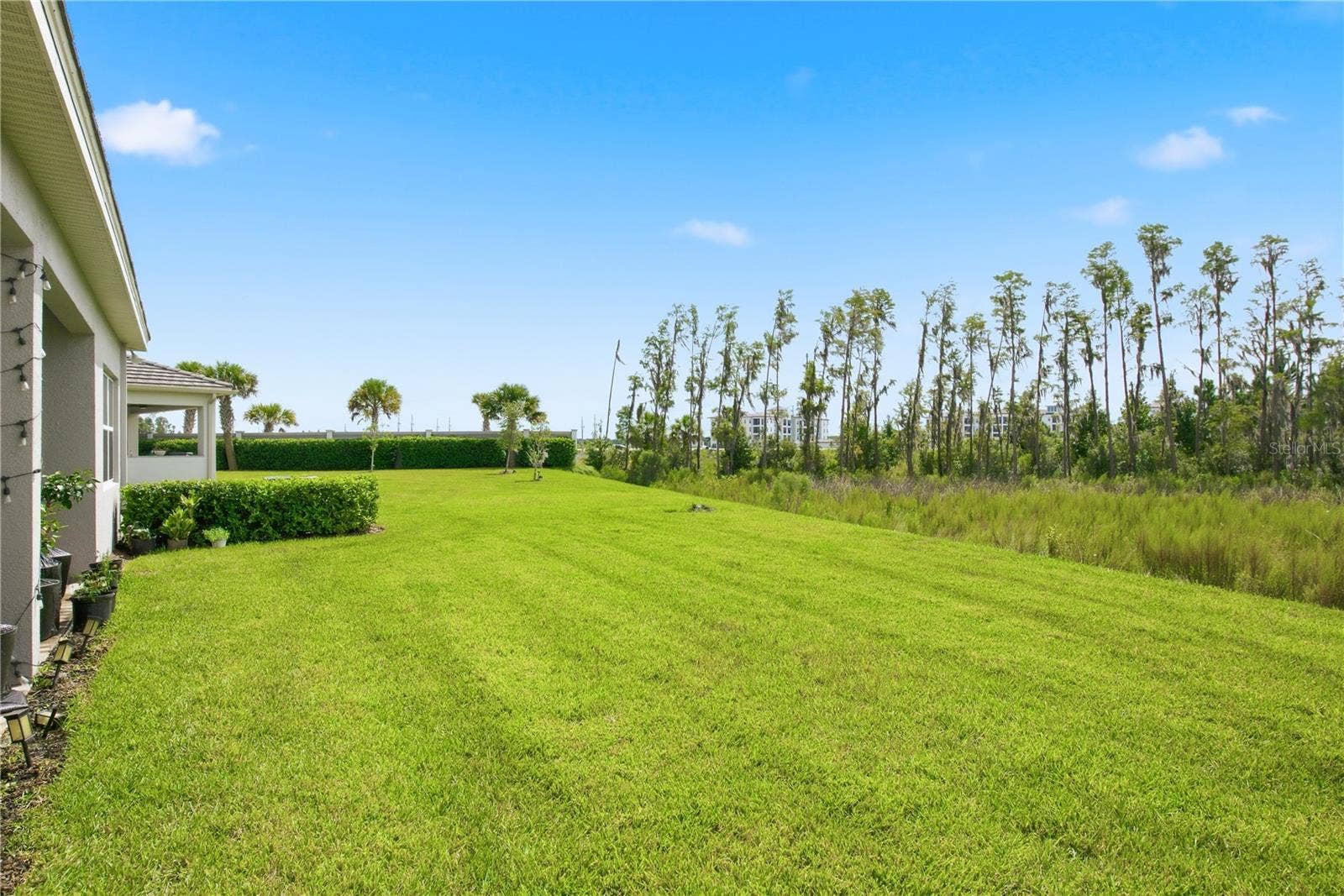 32604 TREE OF LIFE AVENUE, Wesley Chapel, FL 33543