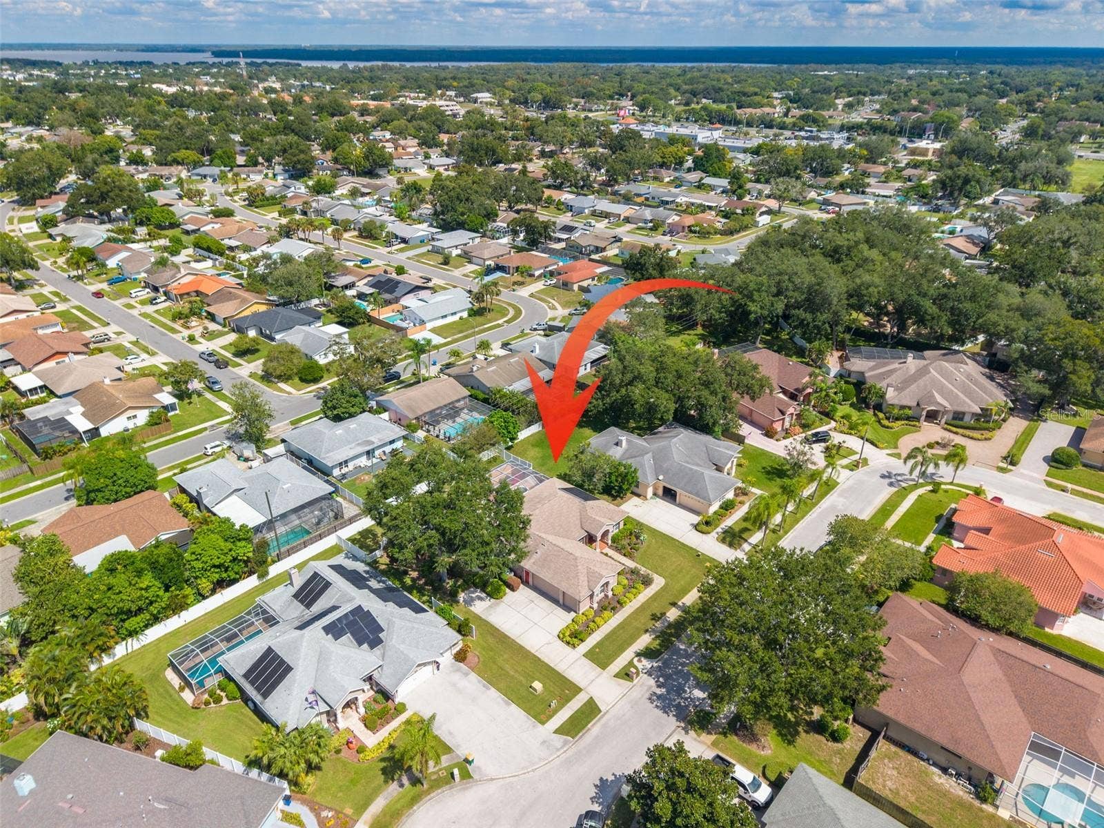 1555 SUNRAY DRIVE, Palm Harbor, FL 34683