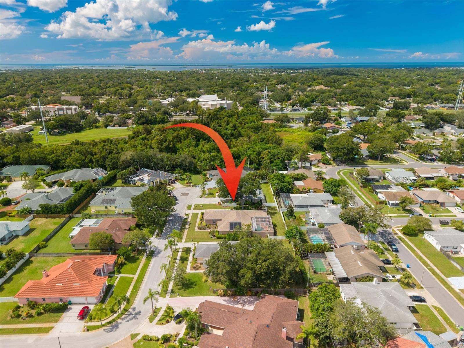 1555 SUNRAY DRIVE, Palm Harbor, FL 34683